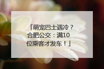 萌宠巴士遇冷？合肥公交：满10位乘客才发车！