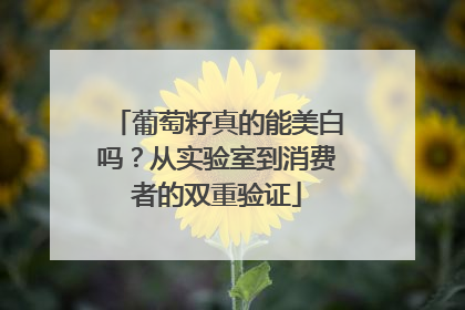 葡萄籽真的能美白吗？从实验室到消费者的双重验证