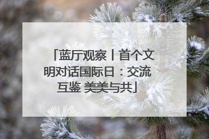 蓝厅观察丨首个文明对话国际日：交流互鉴 美美与共