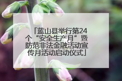 蓝山县举行第24个“安全生产月”暨防范非法金融活动宣传月活动启动仪式