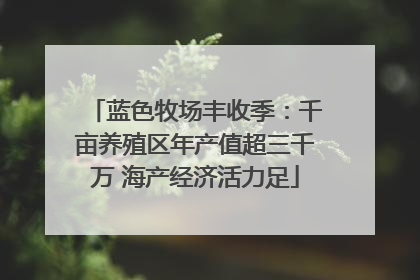 蓝色牧场丰收季：千亩养殖区年产值超三千万 海产经济活力足