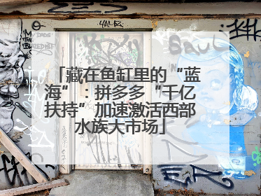 藏在鱼缸里的“蓝海”：拼多多“千亿扶持”加速激活西部水族大市场