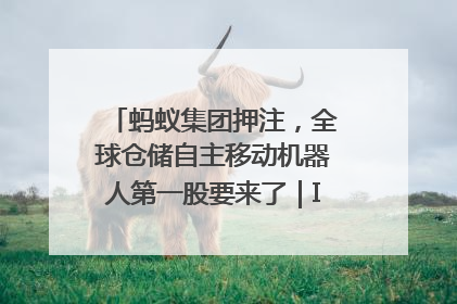 蚂蚁集团押注，全球仓储自主移动机器人第一股要来了｜IPO直通车