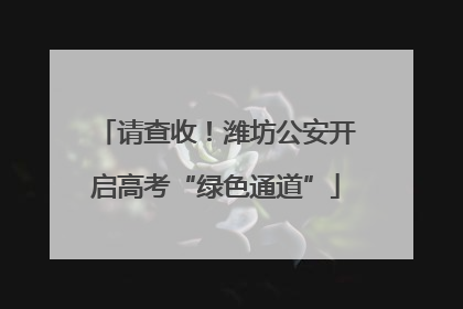 请查收！潍坊公安开启高考“绿色通道”