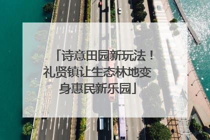 诗意田园新玩法！礼贤镇让生态林地变身惠民新乐园