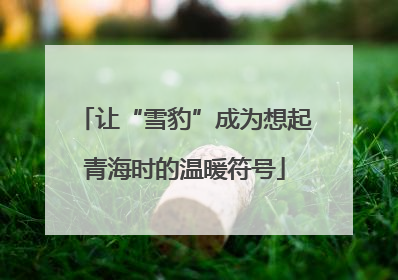 让“雪豹”成为想起青海时的温暖符号