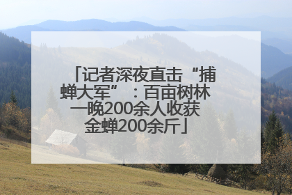 记者深夜直击“捕蝉大军”：百亩树林一晚200余人收获金蝉200余斤