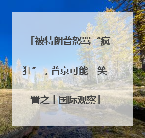 被特朗普怒骂“疯狂”，普京可能一笑置之丨国际观察