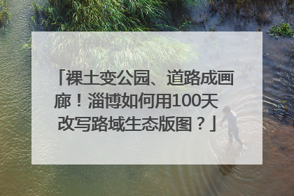 裸土变公园、道路成画廊！淄博如何用100天改写路域生态版图？
