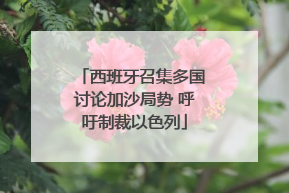 西班牙召集多国讨论加沙局势 呼吁制裁以色列