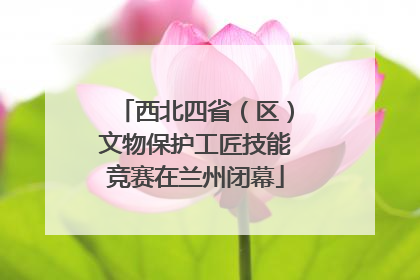 西北四省（区）文物保护工匠技能竞赛在兰州闭幕