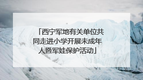 西宁军地有关单位共同走进小学开展未成年人暨军娃保护活动