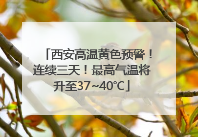 西安高温黄色预警！连续三天！最高气温将升至37~40℃