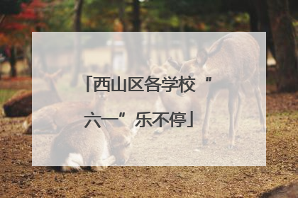 西山区各学校“六一”乐不停