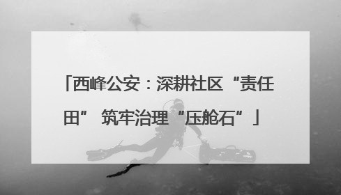 西峰公安：深耕社区“责任田” 筑牢治理“压舱石”