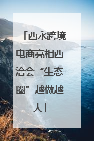 西永跨境电商亮相西洽会“生态圈”越做越大