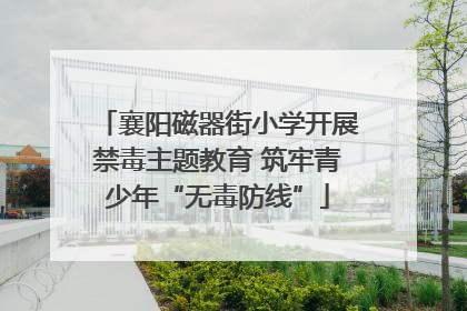 襄阳磁器街小学开展禁毒主题教育 筑牢青少年“无毒防线”