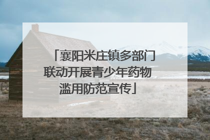 襄阳米庄镇多部门联动开展青少年药物滥用防范宣传