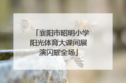 襄阳市昭明小学阳光体育大课间展演闪耀全场