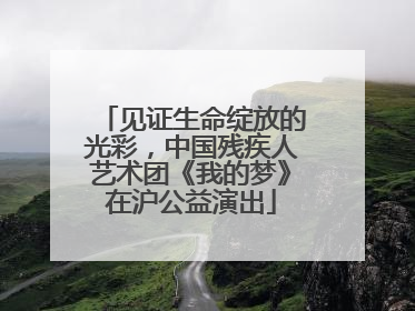 见证生命绽放的光彩，中国残疾人艺术团《我的梦》在沪公益演出