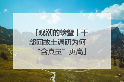 观潮的螃蟹丨干部回故土调研为何“含真量”更高