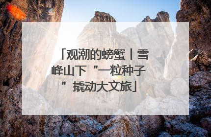 观潮的螃蟹丨雪峰山下“一粒种子”撬动大文旅