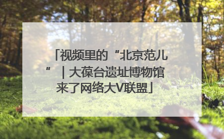 视频里的“北京范儿”｜大葆台遗址博物馆来了网络大V联盟