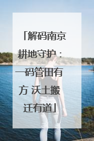 解码南京耕地守护：一码管田有方 沃土搬迁有道