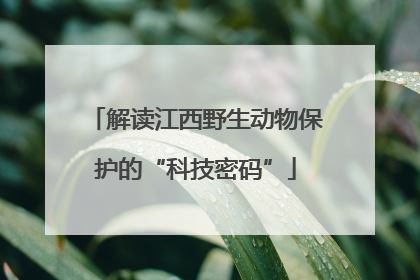 解读江西野生动物保护的“科技密码”
