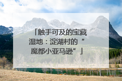 触手可及的宝藏湿地：淀湖村的“魔都小亚马逊”