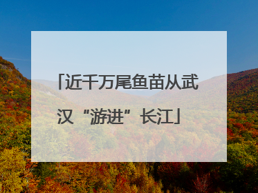 近千万尾鱼苗从武汉“游进”长江