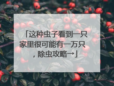 这种虫子看到一只家里很可能有一万只，除虫攻略→