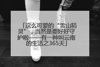 这么可爱的“雪山精灵”，当然是要好好守护啦——有一种叫云南的生活之365天