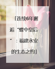 连续6年邂逅“蝶中皇后”：福建永安的生态之约