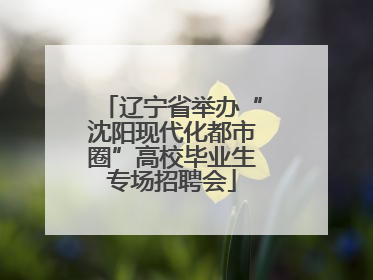 辽宁省举办“沈阳现代化都市圈”高校毕业生专场招聘会