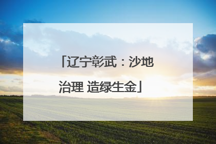 辽宁彰武：沙地治理 造绿生金