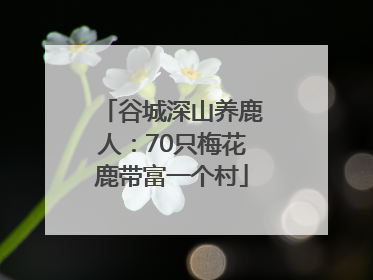谷城深山养鹿人：70只梅花鹿带富一个村