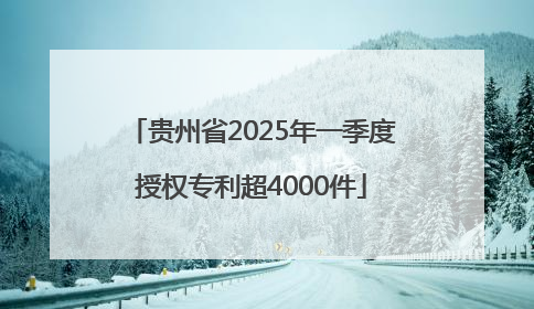 贵州省2025年一季度授权专利超4000件