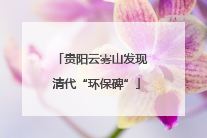 贵阳云雾山发现清代“环保碑”