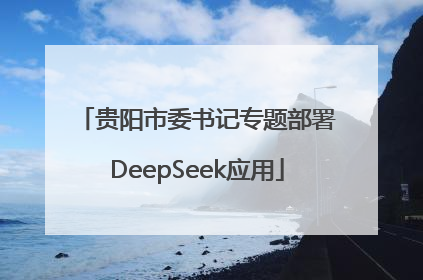 贵阳市委书记专题部署DeepSeek应用