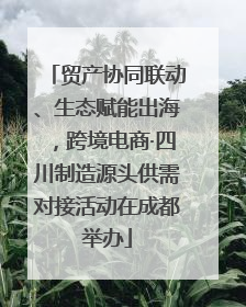 贸产协同联动、生态赋能出海，跨境电商·四川制造源头供需对接活动在成都举办