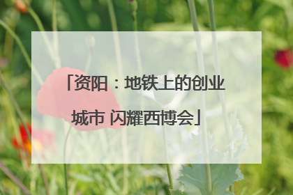 资阳：地铁上的创业城市 闪耀西博会