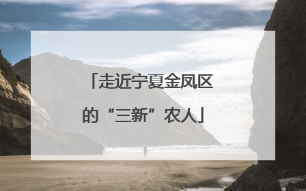 走近宁夏金凤区的“三新”农人