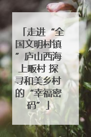 走进“全国文明村镇”庐山西海上畈村 探寻和美乡村的“幸福密码”