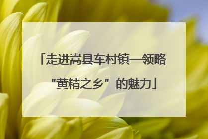 走进嵩县车村镇—领略“黄精之乡”的魅力