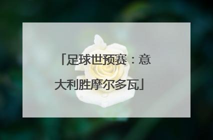 足球世预赛：意大利胜摩尔多瓦