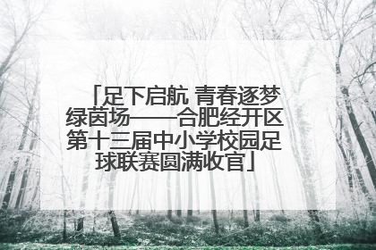 足下启航 青春逐梦绿茵场——合肥经开区第十三届中小学校园足球联赛圆满收官