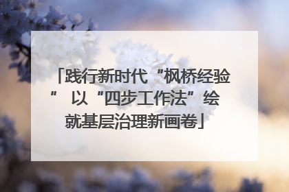 践行新时代“枫桥经验” 以“四步工作法”绘就基层治理新画卷