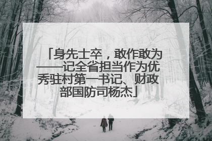 身先士卒，敢作敢为——记全省担当作为优秀驻村第一书记、财政部国防司杨杰