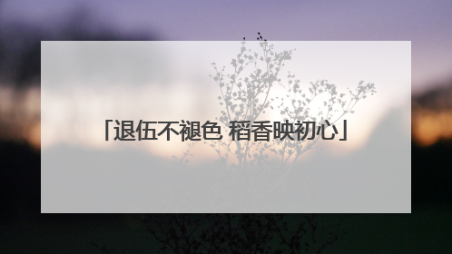 退伍不褪色 稻香映初心